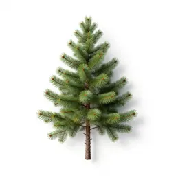 Hemlock