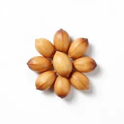 Nut pine