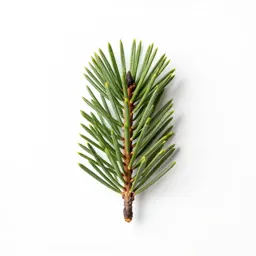 Single-leaf