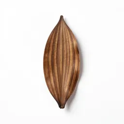 Zebrawood