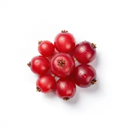 Barberry