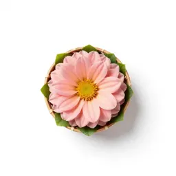 Basket flower
