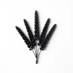 Black grama