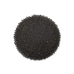Black mustard