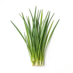 Brome