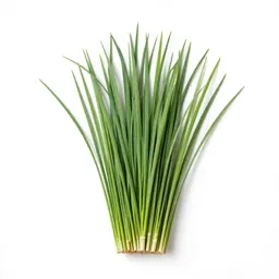Broom grass