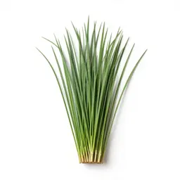 Broom sedge