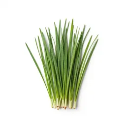 Bunchgrass