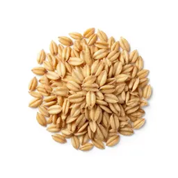 Cereal oat