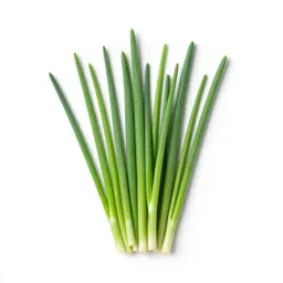 Chives