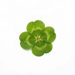 Clover