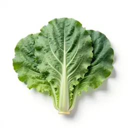 Collard