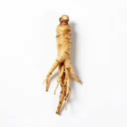 Costusroot