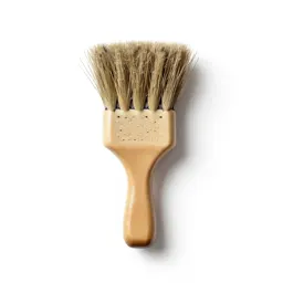 Coyote brush