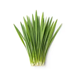 Fescue