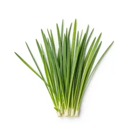 Field brome