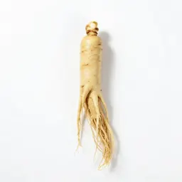 Ginseng
