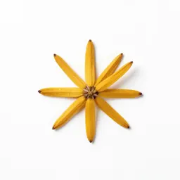 Goldthread