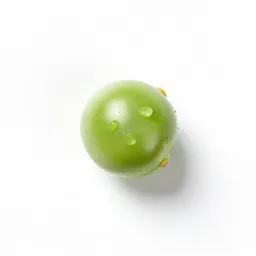 Hairy darling pea