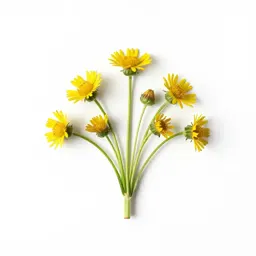 Hawkbit
