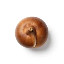 Knawel