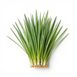 Large crabgrass