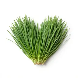 Love grass