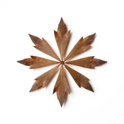 Muskwood