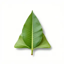 Pagoda tree