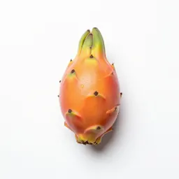 Pitahaya cactus