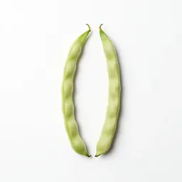 Screw bean