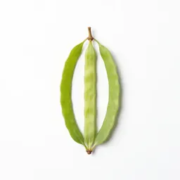 Sicklepod