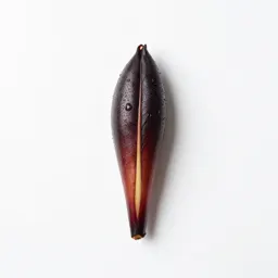 Skunk cabbage