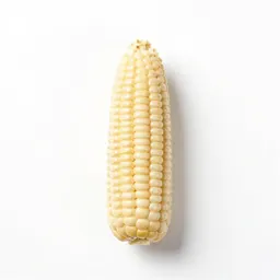 Squirrel corn