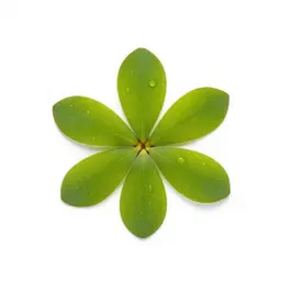 Star-duckweed