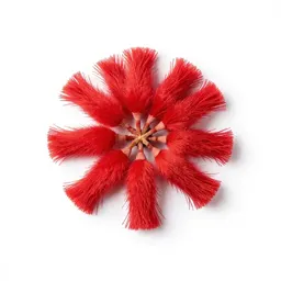 Tassel flower