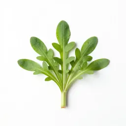Tower mustard