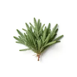 Tumbleweed