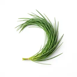 Velvet bent
