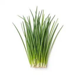 Velvet grass