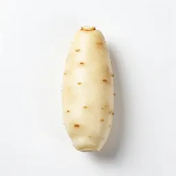 White yam