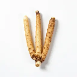 Wild yam