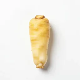 Yellow salsify