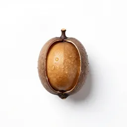 Angiocarp