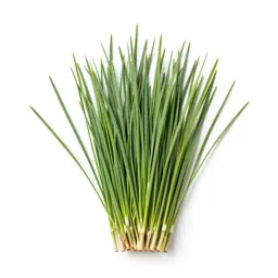 Awnless bromegrass