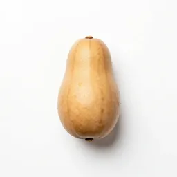 Bitternut