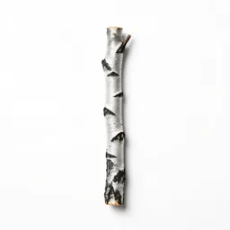 Black birch