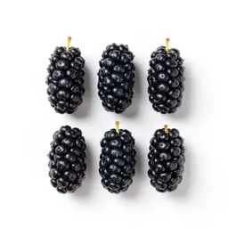 Black mulberry