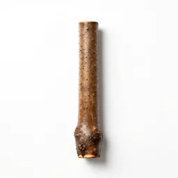 Brazilwood