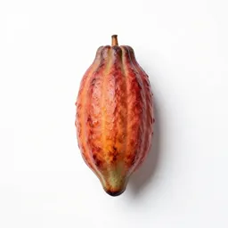 Cacao